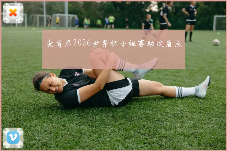 麦肯尼2026世界杯小组赛助攻看点