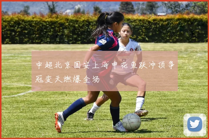 中超北京国安上海申花鱼跃冲顶争冠变天燃爆全场