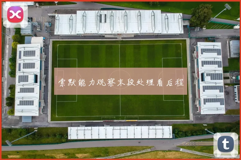 索默能力观察末段处理看后程