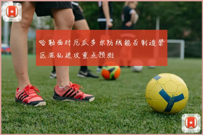 哈勒面对厄瓜多尔防线能否制造禁区混乱进攻重点预测